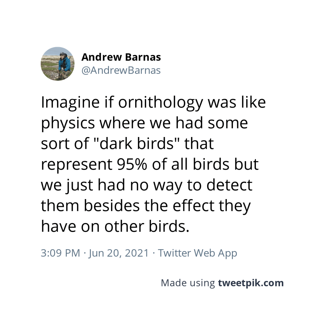 Imagine if ornithology was like physics where we had some sort of "dark birds" that represent 95% of all birds but we just had no way to detect them besides the effect they have on other birds.